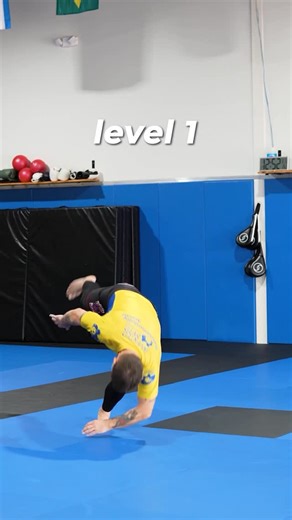 𝕍𝕝𝕒𝕕 𝕂𝕠𝕦𝕝𝕚𝕜𝕠𝕧 on Instagram: "1 Basic shoulder roll 2 No hands forward roll 3 Cartwheel 4 Freefall 5 Handspring… What level are you at?"