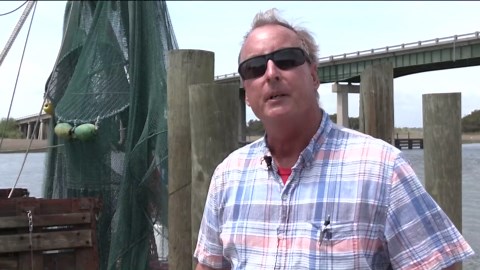 Georgia shrimping companies praise tariffs