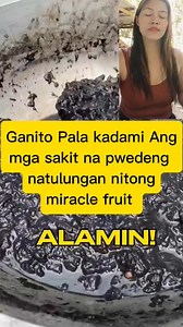 17K views · 233 reactions | Miracle fruit kung Meron ka nito alagaan mo Ang daming health benefits nito | The wonder ofw | Facebook