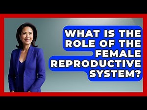What Is The Role Of The Female Reproductive System? - Women's Health and Harmony