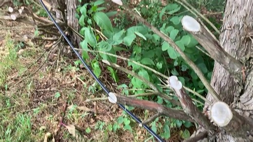 188K views · 1.9K reactions | A Knoxville family has been waiting for over a year for Comcast to bury an exposed internet cable that runs from their yard to homes in an adjoining neighborhood. Watch our story at 5:30 | WATE Don Dare | Facebook