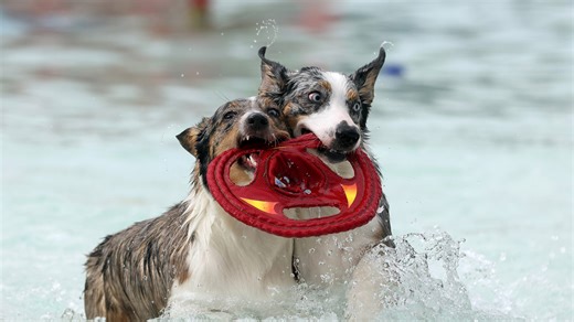 Looking for fun things to do this weekend? Here are our Top 5 events