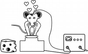 Electric Instant Gratification - TV Tropes