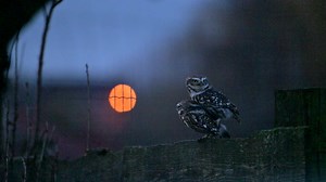 193K views · 8.7K reactions | Ce soir, je vous propose de passer 1...