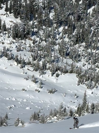 Jones Snowboards on Reels