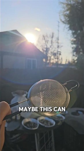 Star Light Camera Effect ✨️ #Hack #Test #Photography #New