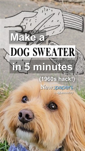 7.9K views · 96 reactions | Make a custom, cozy dog sweater with almost zero effort. All you need are old pajamas and 5 minutes. Get the original 1965 newspaper instructions here: https://www.newspapers.com/article/the-buffalo-news-easy-to-make-sweater-f/182731276/ | Newspapers.com | Facebook