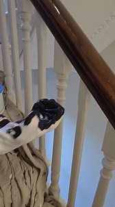 This video explains the basics of painting with a sock - where you'd use a sock, the best socks to use, and more. We hope you find it useful 👌 | Decorators Forum UK