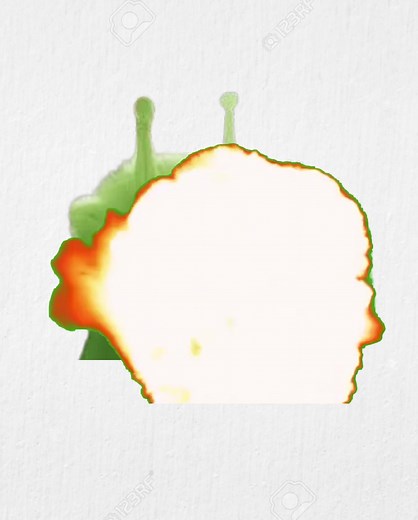 Glorp: The Alien Cat Adventure