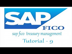 sap fico treasury management tutorial for fresher