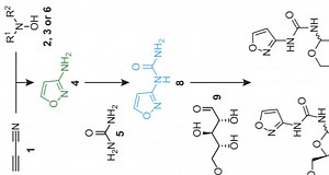 Single reaction mixture can produce all four RNA bases