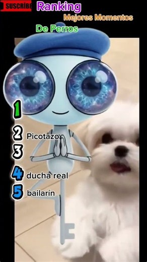 TOP 5 MOMENTOS DE PERROS QUE TE HARÁN MORIR DE RISA 🐶😂