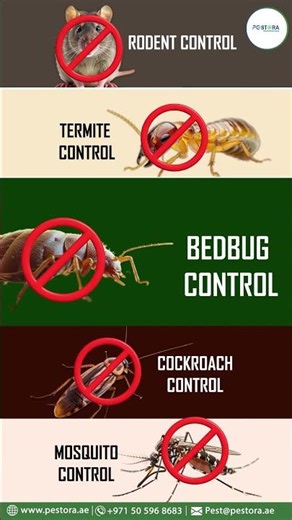 One Solution for Every Pest | Complete Pest Control by Pestora