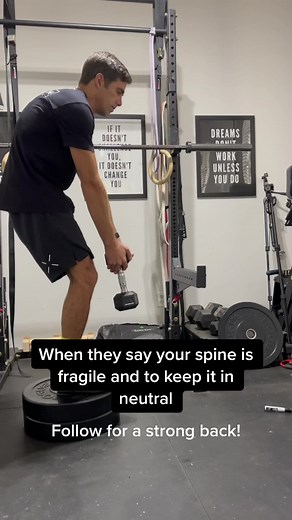 Lowbackproject on TikTok