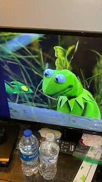 Sesame Street ABCs Of The Swamp