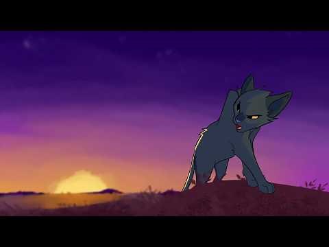 Don't Do Sadness - Breezepelt MAP - Part 26