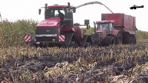 400K views · 1.2K shares | Harvesting! Case Quadtrac 620 + Claas Jaguar 870 Source: FarmweltHD Extended version: https://www.youtube.com/watch?v=liD4n9oXrlA | E-FARM.COM | Facebook