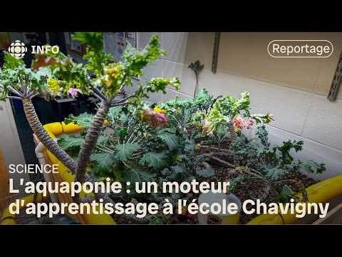 L’école Chavigny de Trois-Rivières installe des systèmes d’aquaponie pour enseigner les sciences