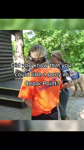 Discover Pony Rides at Cedar Point!