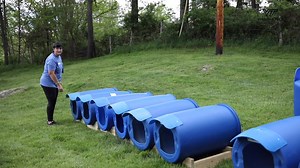 36K views · 728 reactions | Thanks to help from Virginia Tech students, Hokie pups in rural areas won't have to go without shelter. 李 | Virginia Tech | Facebook