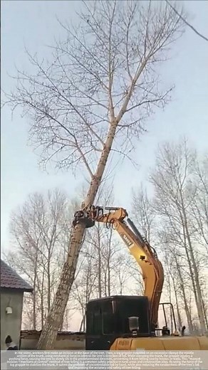 Log grabbers assist workers in felling trees