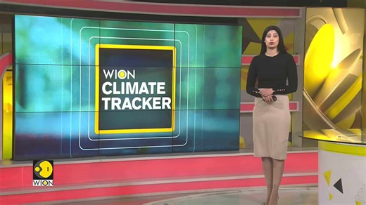 32000 Years Old Cat Mummy Found In Russia