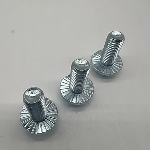 [Hot Item] Serration Flange Screw DIN6921 Hexagon Head Screws with Flange