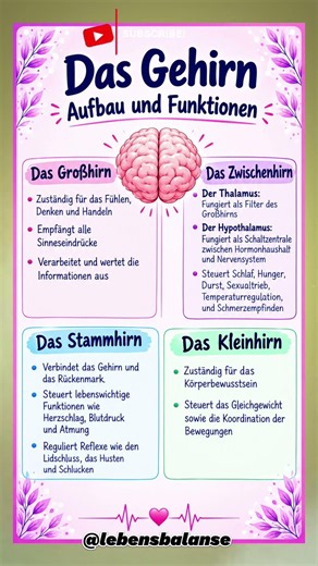 Das Gehirn – vier Bereiche,ein perfektes System #GesundLeben#GesundheitImAlter#FitImAlter#GesundAb50