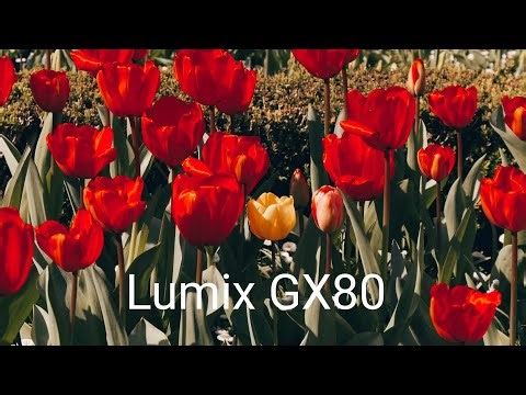 Panasonic Lumix GX80/ GX85