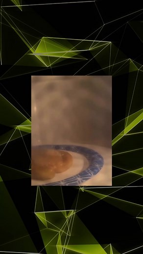 Microwaving A Honey Bun for 10 Mins and Throwing it Meme Explained @Manny.Kapone🥀 @Kaden🥷🏽🚶🏽!!! @Bianca #honeybun #memes #memestiktok #microwave #microwavedhoneybuns #trending #explained #memesexplained