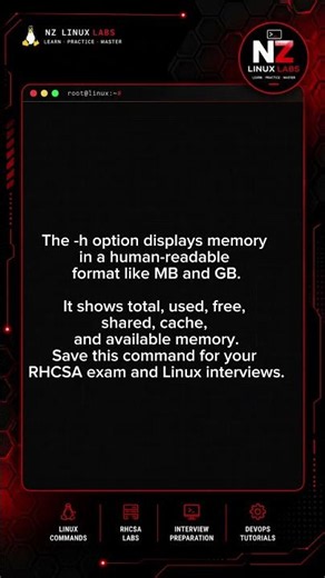How to check memory usage in Linux