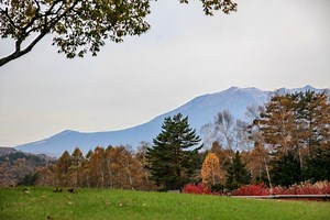 開田高原（紅葉見ごろ11月上旬頃～）長野紅葉名所