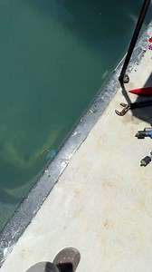 Pool popped out of the ground 😳😬 #pool #poolleak #fyp #foryoupage #swimmingpool #leak #poolcleaning | Chris Miller