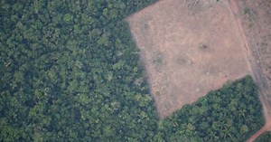 Desmatamento diminui na Amazônia brasileira em agosto, mas continua alto