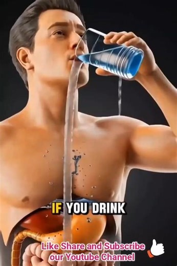 Warm Water Benefits 💧 🥛 #health #ytshorts #youtubeshorts #facts