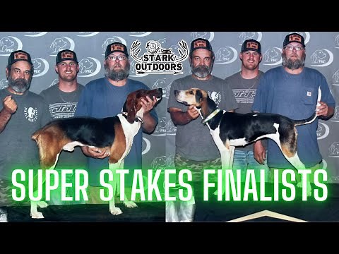 PKC Super Stakes | Night Run with Two Finalist Coonhounds