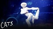 Victoria Cats the Musical
