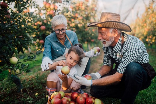 Your money, your way