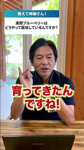 【養液栽培って何？わかりやすく解説！】#脱サラ #農業起業 #ブルーベリーファームおかざき #観光農園 #ブルーベリー #養液栽培 #畔柳茂樹 #shorts