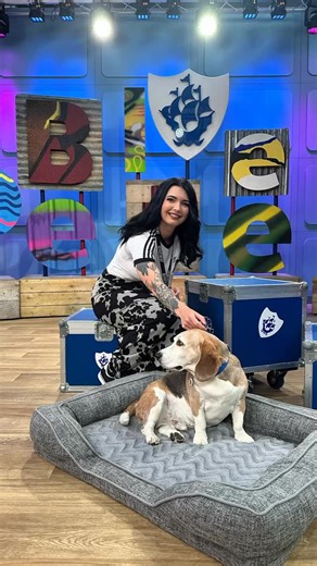 2.7K views · 27 reactions | Blue Peter has a new home and our...