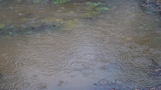 FOX54 Weather Impact Alert Day | Jackson County, AL