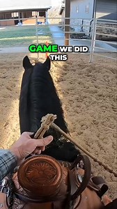 In this video, we explore a practical exercise to enhance your bond with your horse. By understanding pressure points and effective rein management, we unlock a clearer communication pathway and promote mutual trust. Watch as we demonstrate this engaging training method! #EquineTraining #HorseCommunication #RiderTips #BondWithYourHorse #PressurePoints #EquestrianLife #TrainingTechniques #HorseWhispering #TrustBuilding #EquestrianSkills | Ed's Walking Horses