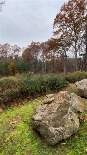 Overgrown brush? We’ve got you covered. ✅ Old Time Tree Service provides professional brush cutting and land clearing to keep your property looking its best! #supportsmallbusiness #BrushCutting #TreeService #LandClearing #ProfessionalTreeCare #PropertyCleanup #TreeExperts #LocalBusiness #TreeWorkDoneRight #LicensedAndInsured | Old Time Tree Service | Facebook