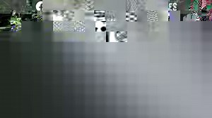 20 reactions · 88 shares | Bin It Waste Disposal Services is the...