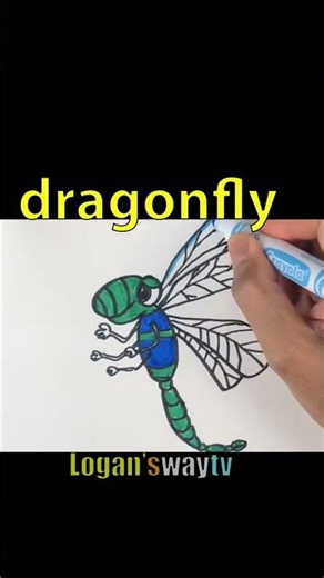 Letter Dd #alphabetforchildren