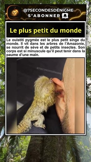 On dirait une peluche… mais c'est bien réel 😳