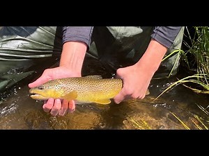 Fraser River Fly Fishing (Part 1)