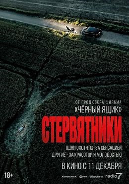 Стервятники (2025) — Фильм.ру