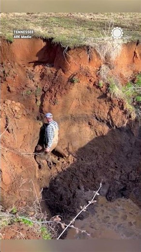 Farmer Climbs Into Sinkhole To Rescue Trapped Calf