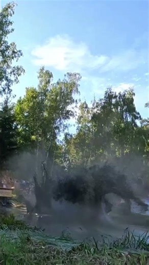 Sinking cars turns out to be a lot of fun